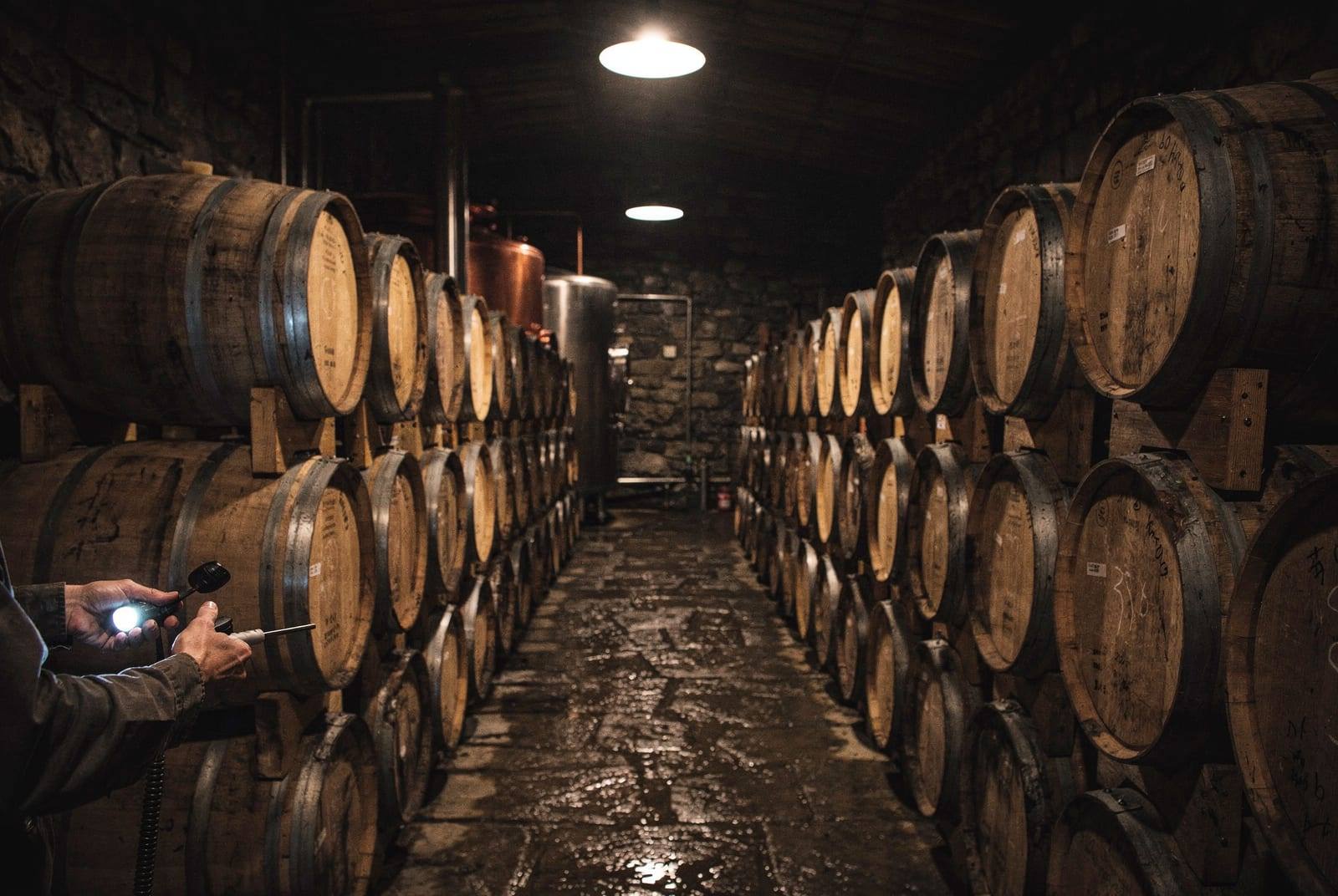 Rows of oak barrels stretching into a dim stone cellar.
