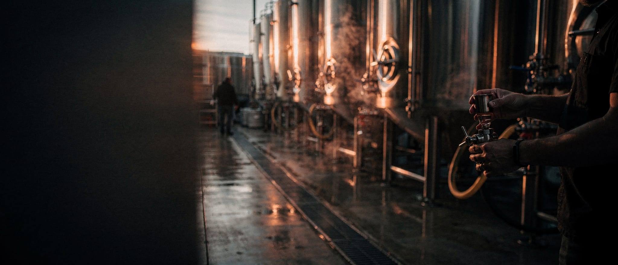 Stainless-steel fermentation tanks catching copper dawn light in a quiet brewhouse.